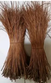 8Lbs Longleaf Pine Needle Bundles (10 to 12 inches)