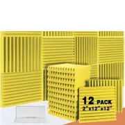 Studio Sound Absorbing Foam Panel 12 Pcs Sound Proof Acoustic Foam Panels Hou...