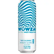 [Deshutes] Deshutes WOWZA Lo Cal Hazy Pale Can 568mL