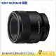 SONY SEL50M28 FE 50mm F2.8 Macro 全片幅 E 接環 定焦 微距鏡頭 台灣索尼公司貨