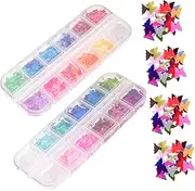 ADOCARN 2 Boxes Butterfly Shaped Nail Art Glitters DIY Nail Sequins Decoration for Unique Manicure Lightweight Storage Case for Home Salon Use Versatile Crafting Art Supplies