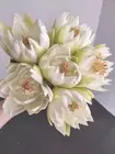 Artificial lotus blossom flower Stems (Six Stems) FL3502CR