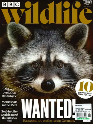 BBC Wildlife (Feb)