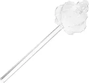 GALPADA Unique Cactus Watering Globe Clear Glass Automatic Watering Bulb for Indoor Plants for Home Decoration for Potted Plants and Hanging Flowers