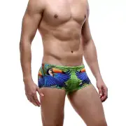 Men's Swimming Underwear Low Rise Briefs Trunk Boxers Birds Print Comfy Swimsuit