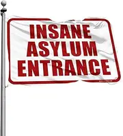 Posters For College Dorm Insane Asylum Entrance Flag Desk Accessories For Men Funny Flags For Room Guys(30X45CM)
