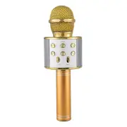 Handheld Portable USB Bluetooth Wireless Karaoke Singing Microphone with Speaker - Gold