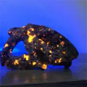 180g Natural Yooperlite saber-toothed tiger Skull Reiki Quartz Crystal Skull