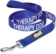 Dexil Therapy Dog Leash - Blue, 4ft Padded, Prevents Accidents