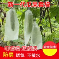 在飛比找蝦皮購物優惠-尼龍網 防蟲網袋 水果套 袋網袋 瓜果樹防鳥吃 防果蠅 紗網