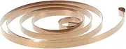 ZUNOXAZ Stainless Steel Wind Up Spring for Clockwork Coil for Mini Robots DIY Halloween Mechanisms Precision Source