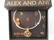 Alex and Ani Initial B Two-Tone Bangle Bracelet- Rafaelian Gold and Silver NWTBC