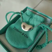 在飛比找蝦皮購物優惠-Tiffany & Co. 925純銀 相思豆 大豆 項鍊