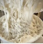 VERY active Sourdough Starter By Wonderlost Homestead Comes With Recipe & Instr