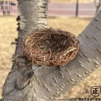 在飛比找蝦皮購物優惠-✨台灣熱賣仿真羽毛燕子小鳥蛤蟆藤編鳥窩手工草鳥窩裝飾仿真鳥巢