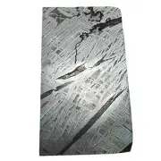 1236g Iron meteorite, Muonionalusta iron meteorite slice Natural Meteorite QA743