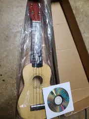 New Hal Leonard Ukulele And Training DVD