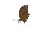 Willow & Silk Metal 70cm Rustic Garden/Yard/Patio Butterfly Statue/Figurine