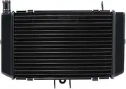 Engine Radiator Fit for Honda CB500 1993-2004 2003 2002 2001 2000 1999 1998 1997 1996 1995 1994 Motorcycle Replacement Radiator Cooler Radiator Grille
