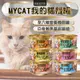✨橘貓MISO✨ ❤現貨供應❤【24罐組】聖萊西Seeds惜時 MyCat我的貓 機能餐貓罐85g 貓罐頭 六種口味