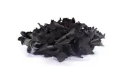 Coconut shell charcoal Activated Carbon Chips Pure Organic Natural Homemade