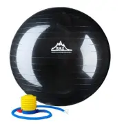 2000lbs Static Strength Exercise Stability Ball With Pump Black 65cm