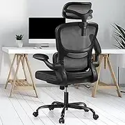Razzor Ergonomic Office Chair, High Back Mesh Desk Chair with Lumbar Support and Adjustable Headrest, Computer Gaming Chair, Executive Swivel Chair for Home Office, RZ2202H-Black