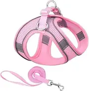 Dog Harness Leash Set for Small Dogs Adjustable Puppy Cat Harness Vest French Bulldog Chihuahua Pug Outdoor Walking Lead Leash (Pink,XS 2.5-4 kg)