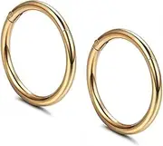 Serenity Sleepers Hypoallergenic Nose Rings 18G 316l Surgical Steel Septum Jewellery Hinged Segment Ring Body Piercing Nose Hoop Lip Rings Nose Helix Cartilage Rook Earrings For Men Women Unisex