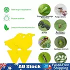_ 10pcs Useful Fungus Gnat Traps Dual-Sided Yellow Sticky Fly Traps Fruit Fly Tr