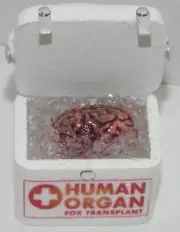 Dollhouse miniature handcrafted Medical BRAIN transport container box 1/12th