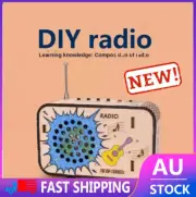 DIY Radio Model Science Technology Invention Hand-made Self-made Assembly AE