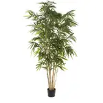 [OneWorld Collection] Giant Bamboo Tree 2.4m