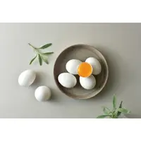 在飛比找台灣好農優惠-【桂園嚴選 桂之初生雞蛋 4盒免運組】 白蛋品種 最純粹的濃