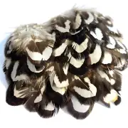 25pcs Natural 3-4cm Black White Reeves Pheasant Feathers DIY Art Craft