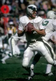 Quarterback John Reaves Of The Philadelphia Eagles Drops Back 1972 NFL OLD PHOTO