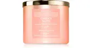 Bath & Body Works Gwen's Note scented candle 411 g