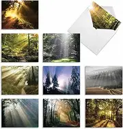 Shining Through - Box of 10 Beautiful Assorted Landscape Note Cards (4 x 5.12 Inch) - All Occasion Blank Greeting Card with Envelopes - Sun Photograph Notecards of Nature, Wilderness, Trails M1735BN
