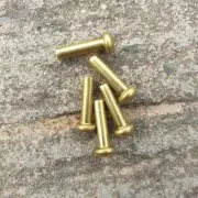 Solid Round Head Brass rivets x 5