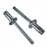 Aluminum Rivet Steel Mandrel Window Regulator Peel 1/4" Dia. 1/2" Flng - 25 Pack