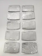 Activated Carbon PM 2.5 Air Filters, Set of 50
