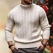 Men's Turtleneck Sweater Sweater Pullover Sweater Jumper Pullover Ribbed Cable Knit Knitted Plain Turtleneck Keep Warm Casual Daily Wear Vacation Clothing Appa