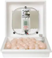 Little Giant Digital Circulated Air Incubator | 41 Eggs | Egg Incubator
