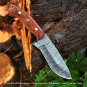 50pcs Damascus Knife Lot Forged Damascus Steel Sharp Blade Survival Knife gift