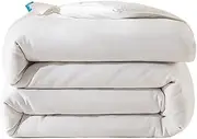 JSEIAJB Silk Quilts with Spring and Autumn Quilts with Comforter Core(4kg)