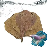 Terminalia Catappa Leaves - Aquarium Leaf,Betta Fish Toys, Almond Leaves, 10 Catappa Leaf to Lo-wer PH Level and Improve Water Quality