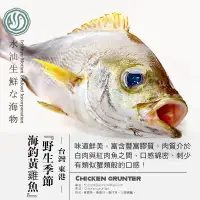 在飛比找蝦皮購物優惠-【水汕海物】野生季節海釣 超值美味 黃雞魚。『實體店面、品質