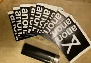 Anon Goggle Sticker, Burton Snowboard Decal