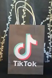 Tiktok Gift Bags Limited Edition Gift Bag Creator Content Viral Handled Lot Of 4