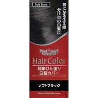 在飛比找PChome商店街優惠-日本 Dr. Ci-Labo Hair Color 輕巧美髮